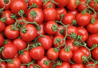 Foto Pomodoro Grappolo Origine Italia Marchio Vittoria 2