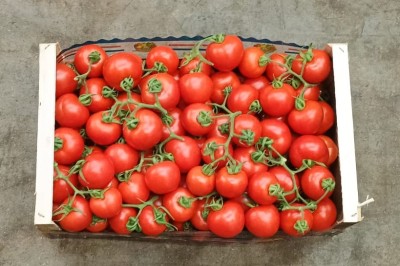 Foto Pomodoro Grappolo Origine Italia Marchio Vittoria 3