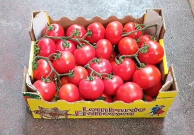 Foto Pomodoro Grappolo Origine Italia Marchio Francesca Lombardo 1
