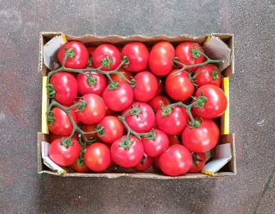 Foto Pomodoro Grappolo Origine Italia Marchio Francesca Lombardo 3