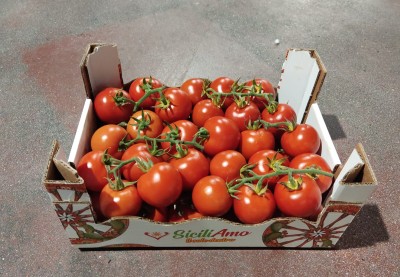 Foto Pomodori A Grappolo Origine Italia Marchio Siciliamo  1
