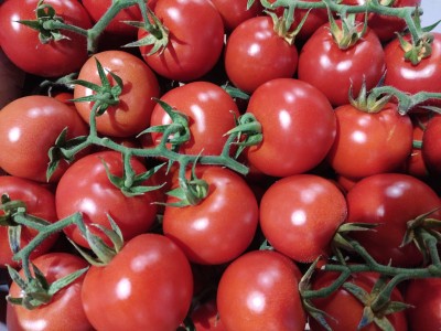 Foto Pomodori A Grappolo Origine Italia Marchio Siciliamo  2