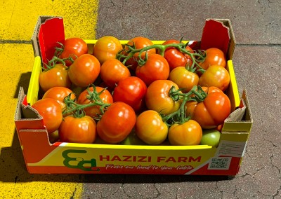 Foto Pomodoro Grappolo Origine Albania Marchio Hazizi Farm 1