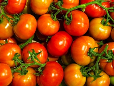 Foto Pomodoro Grappolo Origine Albania Marchio Hazizi Farm 2