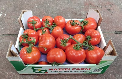 Foto Pomodoro Grappolo Origine Albania Marchio Hazizi Farm 1