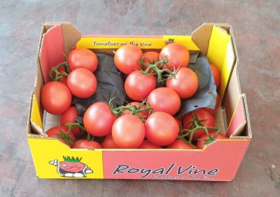 Foto Pomodoro Grappolo Origine Olanda Marchio Royal 1