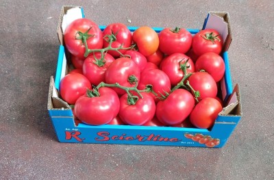 Foto Pomodoro Grappolo Origine Italia Marchio Sciortino  1