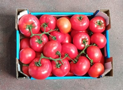 Foto Pomodoro Grappolo Origine Italia Marchio Sciortino  3