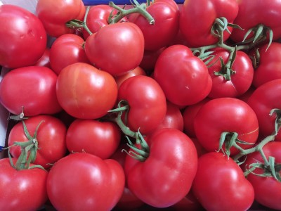 Foto Pomodoro Grappolo Origine Italia Marchio Rosa Di Sicilia 2