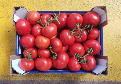 Foto Pomodoro Grappolo Origine Italia Marchio Rosa Di Sicilia 3