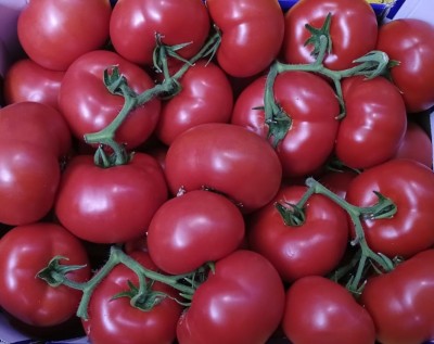Foto Pomodoro Grappolo Origine Italia Marchio Rosa Di Sicilia  2