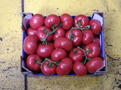 Foto Pomodoro Grappolo Origine Italia Marchio Rosa Di Sicilia  3