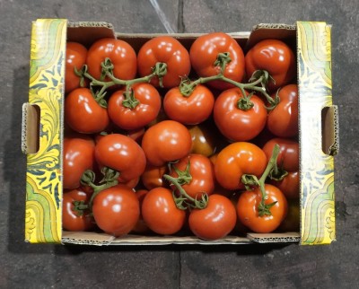 Foto Pomodoro Grappolo Origine Italia Marchio Sicily 3