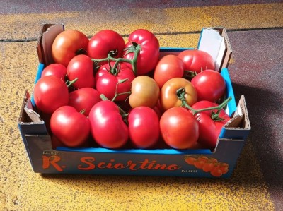 Foto Pomodoro Grappolo Origine Italia Marchio Sciortino  1