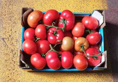 Foto Pomodoro Grappolo Origine Italia Marchio Sciortino  3
