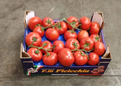 Foto Pomodoro Grappolo Origine Italia Marchio Ficicchia  1