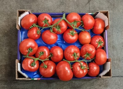 Foto Pomodoro Grappolo Origine Italia Marchio Ficicchia  3