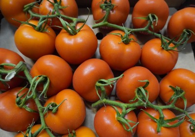 Foto Pomodoro Grappolo Origine Spagna Marchio Casi 2