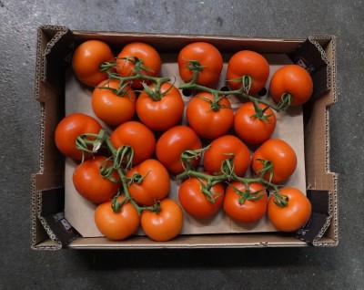 Foto Pomodoro Grappolo Origine Spagna Marchio Casi 3