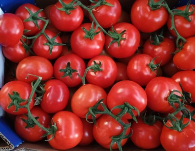 Foto Pomodoro Grappolo Origine Italia Marchio  Gusto E Qualità 2
