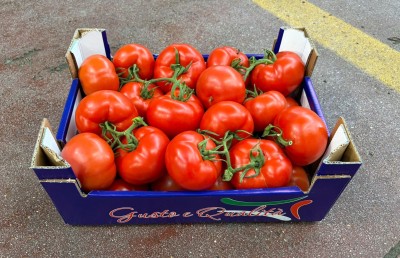 Foto Pomodoro Grappolo Origine Italia Marchio Gusto e Qualità 1