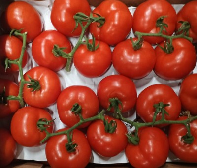 Foto Pomodoro Grappolo Origine Italia Marchio Ricca  2