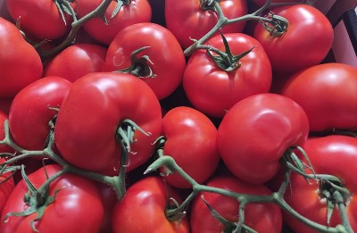 Foto Pomodoro Grappolo Origine Italia Marchio 110 e Lode 2