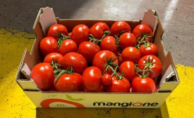 Foto Pomodoro Grappolo Origine Italia Marchio Mangione  1