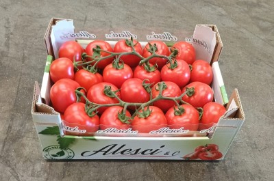 Foto Pomodoro Grappolo Origine Italia Marchio Alesci  1