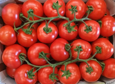 Foto Pomodoro Grappolo Origine Italia Marchio Alesci  2