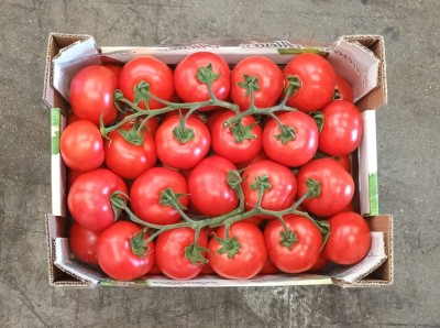 Foto Pomodoro Grappolo Origine Italia Marchio Alesci  3