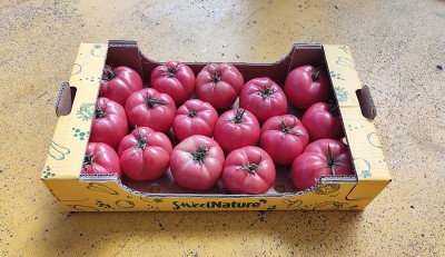 Foto Pomodoro Grappolo Rosè Origine Albania Marchio Sweet Nature 1