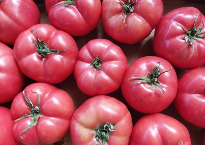 Foto Pomodoro Grappolo Rosè Origine Albania Marchio Sweet Nature 2