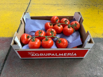Foto Pomodoro Grappolo Origine Spagna Marchio Agrupalmeria 1