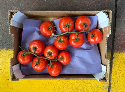 Foto Pomodoro Grappolo Origine Spagna Marchio Agrupalmeria 3