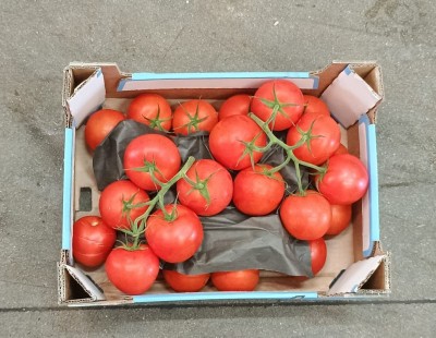 Foto Pomodoro Grappolo Origine Olanda Marchio Fenome 3