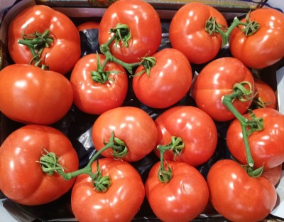 Foto Pomodoro Grappolo Origine Italia Marchio Arrabito  2