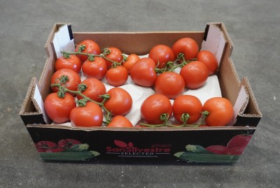 Foto Pomodoro Grappolo Origine Spagna Marchio San Silvestre 1