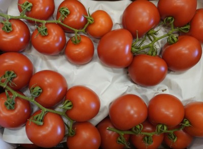 Foto Pomodoro Grappolo Origine Spagna Marchio San Silvestre 2