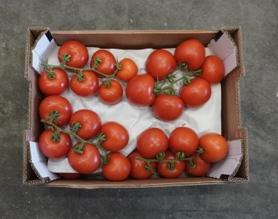 Foto Pomodoro Grappolo Origine Spagna Marchio San Silvestre 3