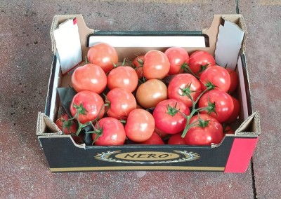 Foto Pomodoro Grappolo Origine Olanda Marchio Nero 1