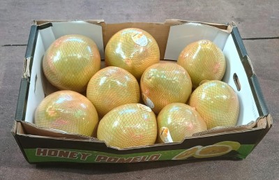 Foto Pomelo Bianco Calibro 10 Origine China Marchio MC Garoet 1