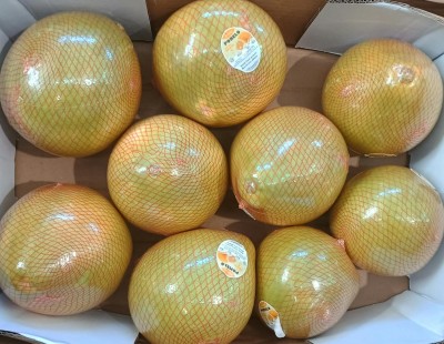 Foto Pomelo Bianco Calibro 10 Origine China Marchio MC Garoet 2