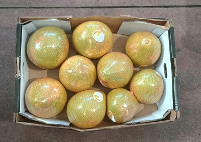 Foto Pomelo Bianco Calibro 10 Origine China Marchio MC Garoet 3