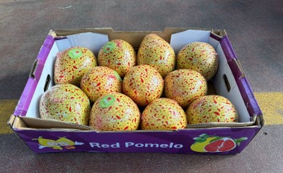 Foto Pomelo Rosso Confezione da 12 Kg Origine Cina Marchio Red Pomelo  1