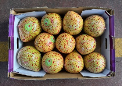 Foto Pomelo Bianco Calibro 11 Origine Cina Marchio Red Pomelo                3