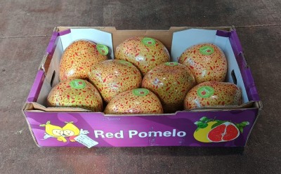 Foto Pomelo Rosso Calibro 10/12 Origine Cina Marchio Red Pomelo             1