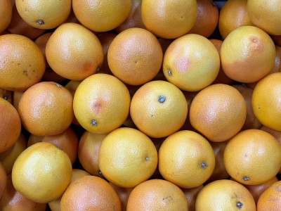 Foto Pompelmi Varietà Star Ruby Calibro 7 Origine Sud Africa Marchio Citrix 2