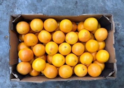 Foto Pompelmi Varietà Star Ruby Calibro 7 Origine Sud Africa Marchio Citrix 3