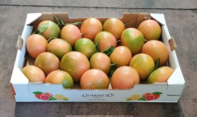 Foto Pompelmi Rosa Origine Italia Marchio Guarascio        1